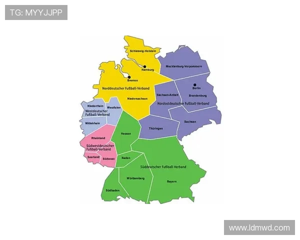 南京足球队的战术创新与运营体系解析探讨