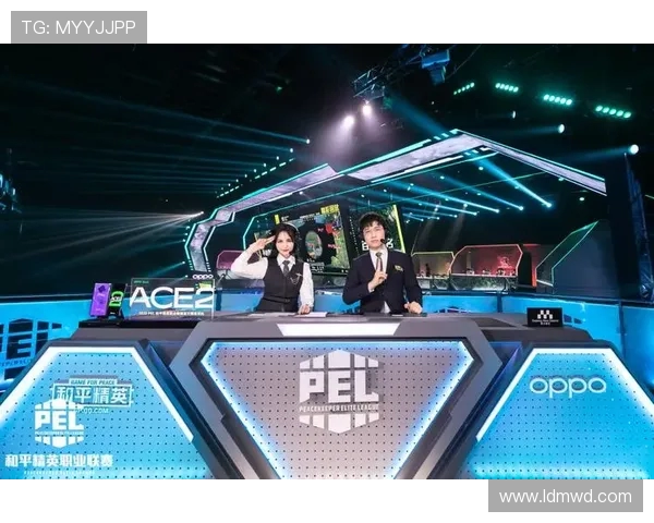 和平精英战术深度解析：RNG团队如何在比赛中掌控全局