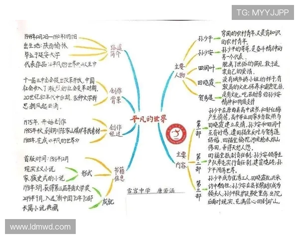 刘泽一的成长之路：从平凡少年到卓越领袖的蜕变故事